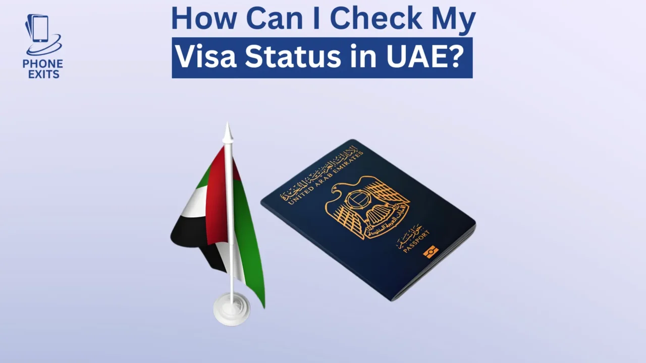 how can i check my visa status in uae