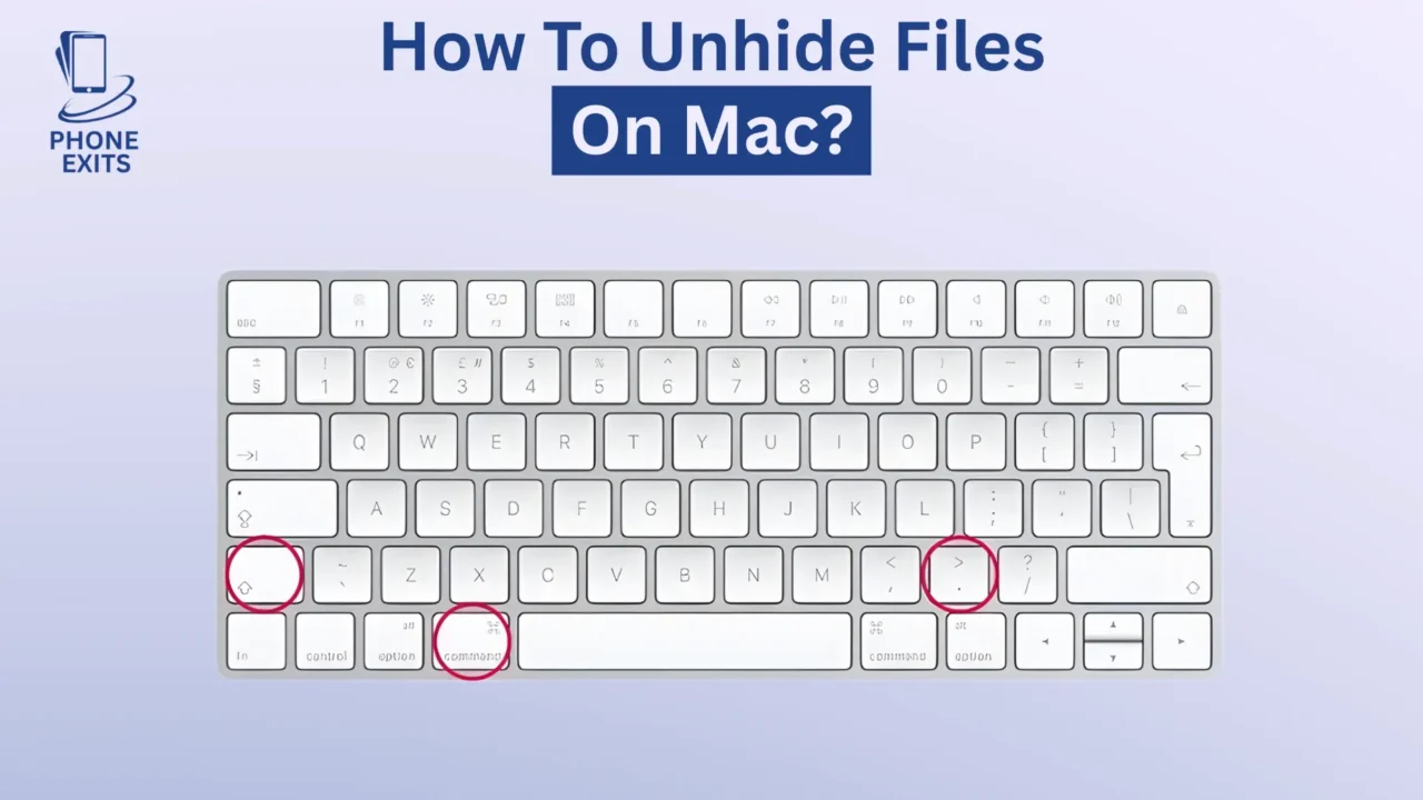 How to Unhide Files on Mac